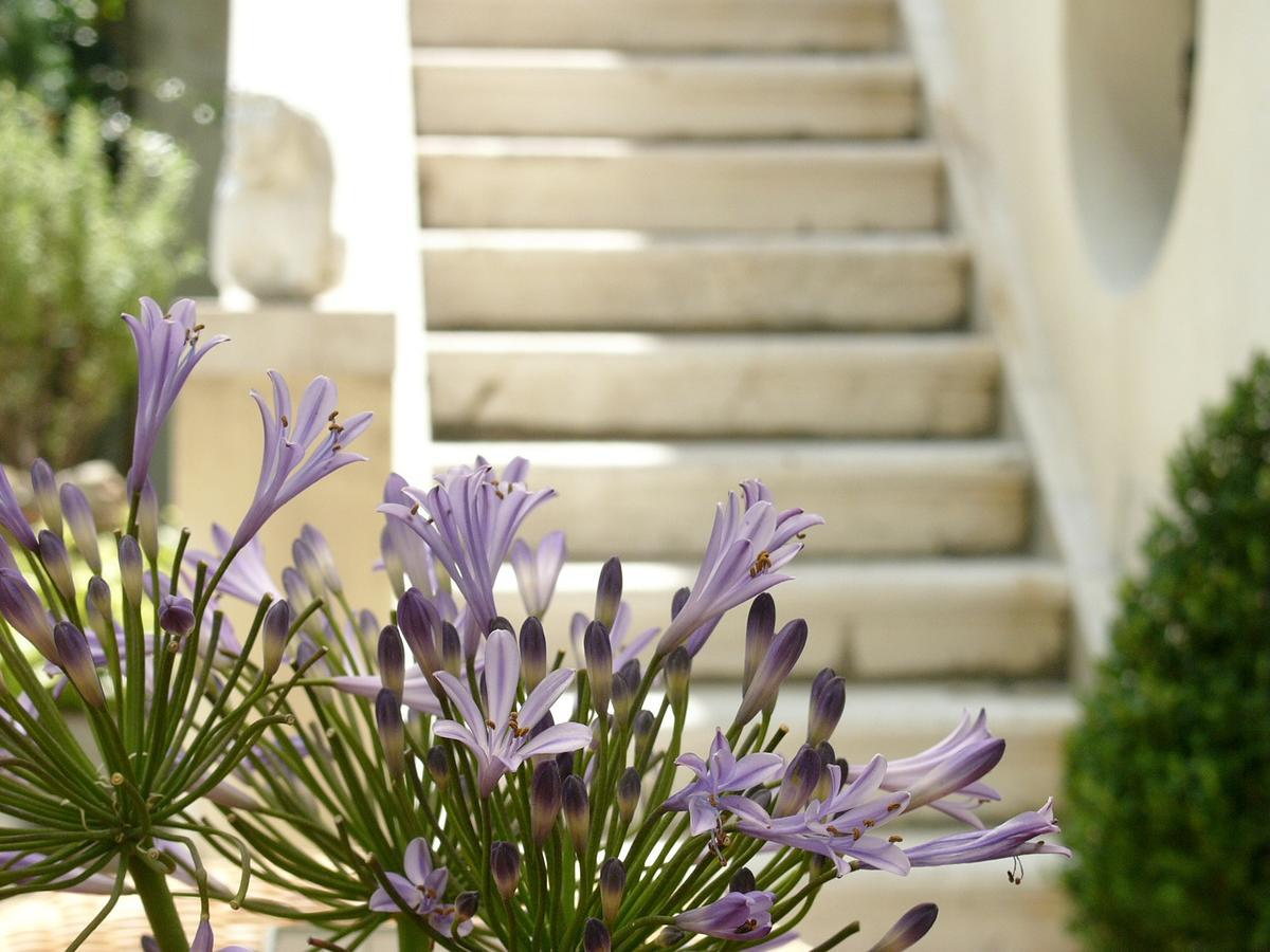 Primaluce Bed & Breakfast Venice Exterior photo